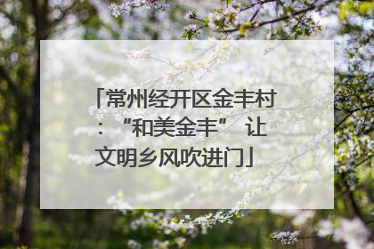 常州经开区金丰村：“和美金丰” 让文明乡风吹进门